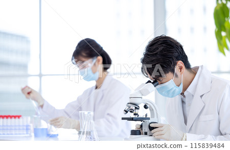 Research image Men and women working in the laboratory Research image Men and women working in the laboratory 115839484