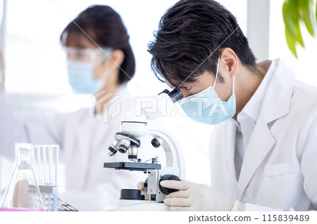 研究圖像 在實驗室工作的男性和女性 研究圖像 在實驗室工作的男性和女性 115839489