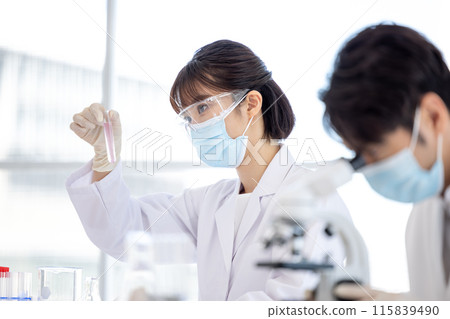 研究圖像 在實驗室工作的男性和女性 研究圖像 在實驗室工作的男性和女性 115839490