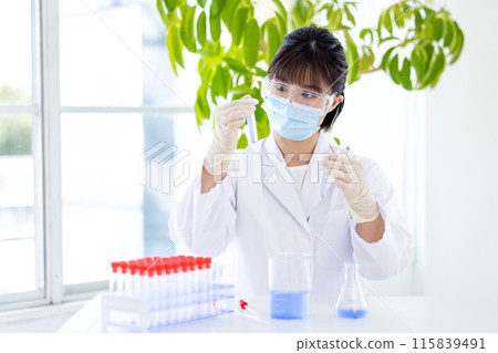 研究圖片:一名在實驗室工作的女性 研究圖片:一名在實驗室工作的女性 115839491
