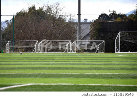 Grass soccer court Grass soccer court 115839546