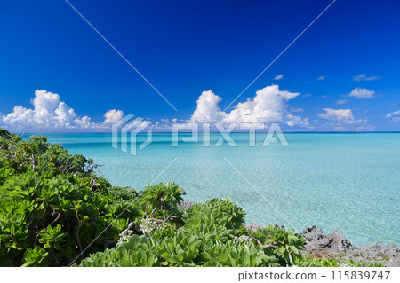 仲夏的雷雨雲和藍的大海 115839747