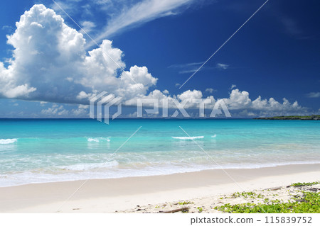 Beautiful beach and midsummer cumulonimbus clouds 115839752