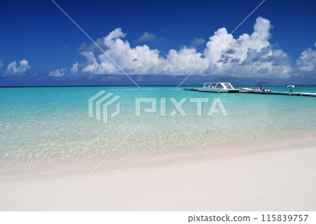 The shoreline of Yonaha Maehama Beach and midsummer cumulonimbus clouds 115839757