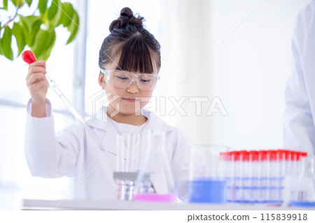 Elementary school girl studying science Elementary school girl studying science 115839918
