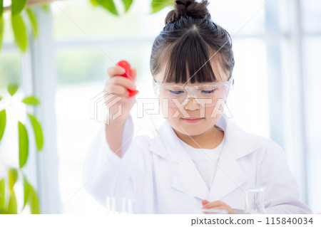 學習科學的小學女孩 115840034