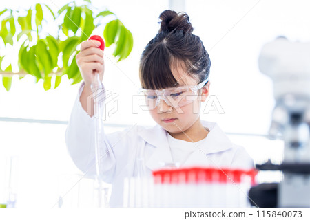 Elementary school girl studying science Elementary school girl studying science 115840073