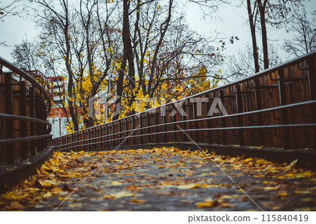 autumn city park. yellow foliage autumn city park. yellow foliage 115840419