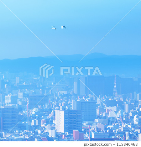 一隻白色的鳥飛過朦朧的城市景觀 一隻白色的鳥飛過朦朧的城市景觀 115840468