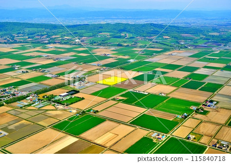 Aerial view of Hokkaido's rural landscape 115840718