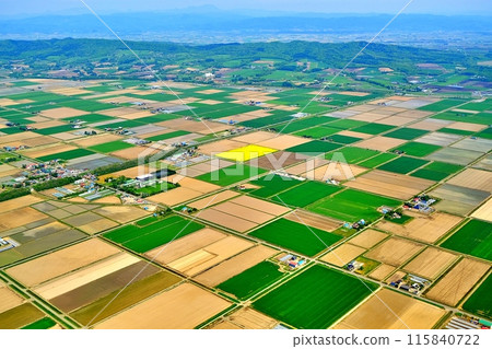 Aerial view of Hokkaido's rural landscape 115840722
