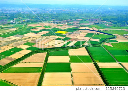 Aerial view of Hokkaido's rural landscape 115840723