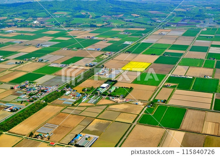 Aerial view of Hokkaido's rural landscape Aerial view of Hokkaido's rural landscape 115840726