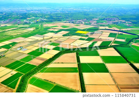 Aerial view of Hokkaido's rural landscape 115840731