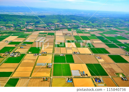 Aerial view of Hokkaido's rural landscape Aerial view of Hokkaido's rural landscape 115840736