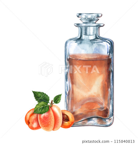 Craft vintage glass bottle with brown liquid, bright juicy apricots, pits. Watercolor illustration of liqueur, amaretto, perfume, massage, aromatic oils, aromatherapy, alcohol, alchemy, drinks Craft vintage glass bottle with brown liquid, bright juicy apricots, pits. Watercolor illustration of liqueur, amaretto, perfume, massage, aromatic oils, aromatherapy, alcohol, alchemy, drinks 115840813