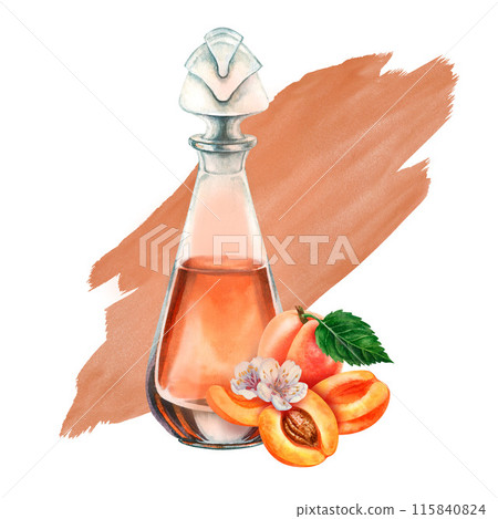 Craft vintage glass bottle with brown liquid, bright juicy apricots, pits. Watercolor illustration of liqueur, amaretto, perfume, massage, aromatic oils, aromatherapy, alcohol, alchemy, drinks Craft vintage glass bottle with brown liquid, bright juicy apricots, pits. Watercolor illustration of liqueur, amaretto, perfume, massage, aromatic oils, aromatherapy, alcohol, alchemy, drinks 115840824