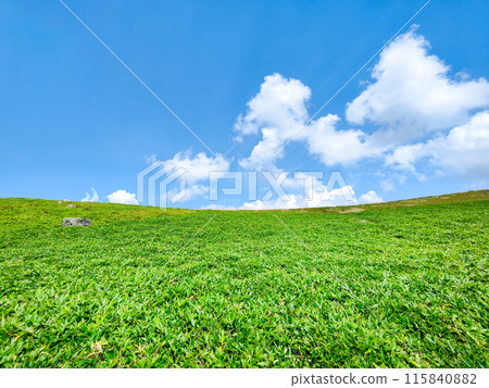 Refreshing summer plateau scenery (Utsukushigahara Plateau) Refreshing summer plateau scenery (Utsukushigahara Plateau) 115840882