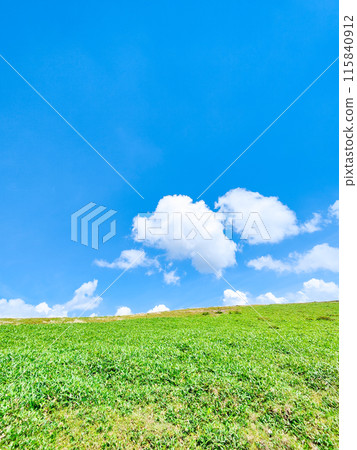 夏季清爽的高原風景(美原高原) 夏季清爽的高原風景(美原高原) 115840912