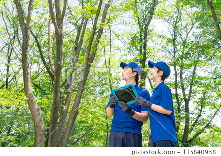 A worker managing a forest looking at a tablet PC A worker managing a forest looking at a tablet PC 115840938