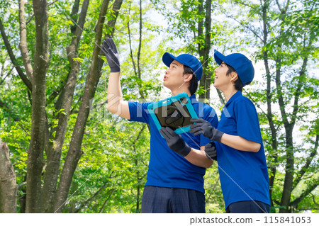 A worker surveying the forest while looking at a tablet A worker surveying the forest while looking at a tablet 115841053