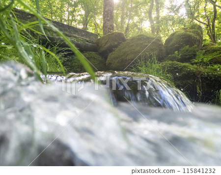 A sparkling image of a clear stream in the forest: Oyamakiyazawa mountain stream A sparkling image of a clear stream in the forest: Oyamakiyazawa mountain stream 115841232