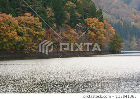 我去了沼澤湖 #76 我去了沼澤湖 #76 115841363