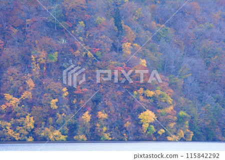 Went to Lake Numazawa #91 Went to Lake Numazawa #91 115842292