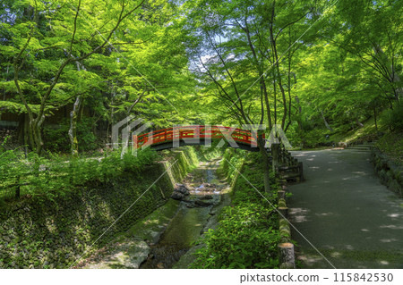 京都北野天滿宮史蹟 大土井藍楓 115842530