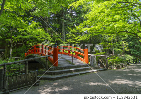 Kyoto Kitano Tenmangu Shrine Historic Site Odoi Green Maples 115842531