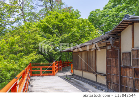 Kyoto Kitano Tenmangu Shrine Green Maple Leaves of Odoi Teahouse Umekoken Kyoto Kitano Tenmangu Shrine Green Maple Leaves of Odoi Teahouse Umekoken 115842544