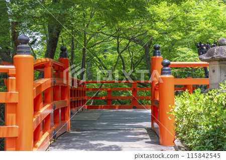 Kyoto Kitano Tenmangu Shrine Historic Site Green Maple Leaves and Vermilion Railings Kyoto Kitano Tenmangu Shrine Historic Site Green Maple Leaves and Vermilion Railings 115842545