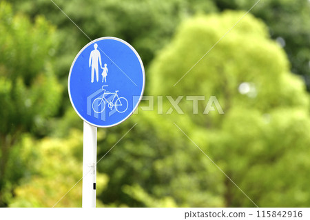 日本橫濱城市景觀「自行車和行人專用道路」標誌在美麗的綠色植物中脫穎而出 = 橫濱市 115842916