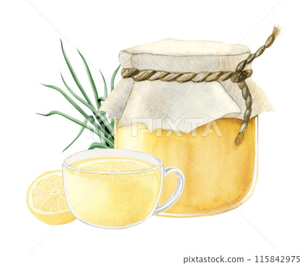 Glass honey jar with herbal tea, lemon and lemongrass watercolor illustration clipart in realistic style isolated on white. Natural products for winter hot drinks. Hand drawn clipart Glass honey jar with herbal tea, lemon and lemongrass watercolor illustration clipart in realistic style isolated on white. Natural products for winter hot drinks. Hand drawn clipart 115842975