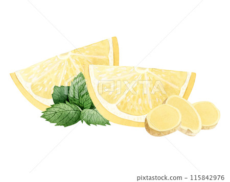 Lemon slices with ginger and spearmint watercolor illustration in light yellow and green colors isolated on white. Hand drawn cut ingredients of fruits, herbs and vegetables clipart 115842976