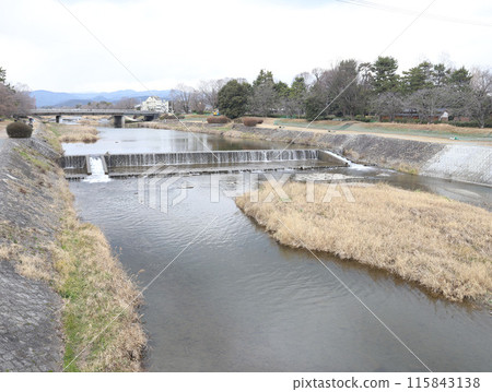 Kamo River, Kamo River, Shimogamo Shrine, Kamo Mioya Shrine, Kyoto 115843138