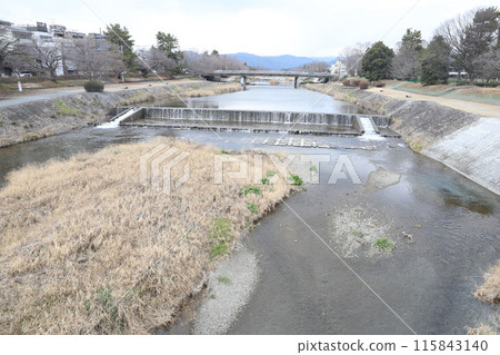 Kamo River, Kamo River, Shimogamo Shrine, Kamo Mioya Shrine, Kyoto 115843140
