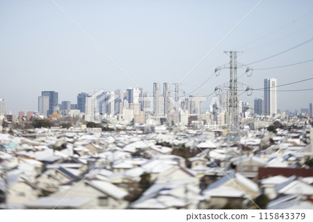 Snow-covered roofs of houses and Shinjuku Subcenter Snow-covered roofs of houses and Shinjuku Subcenter 115843379