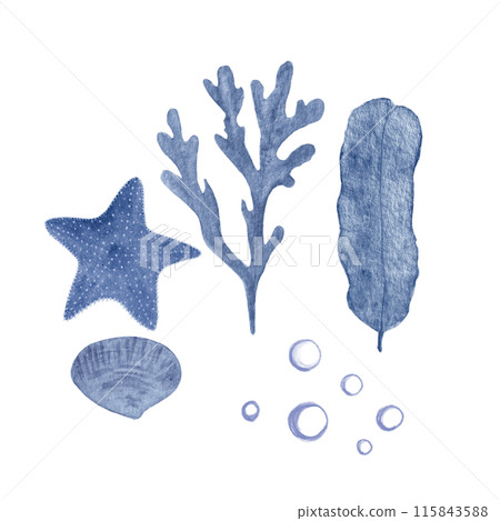 Starfish, seaweed, bubbles and a shell blue monochromatic watercolor set isolated on white. Hand-drawn illustration for decor, cards, restaurant menu, stickers, tourism, tape, dishes, room design Starfish, seaweed, bubbles and a shell blue monochromatic watercolor set isolated on white. Hand-drawn illustration for decor, cards, restaurant menu, stickers, tourism, tape, dishes, room design 115843588
