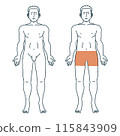 full body illustration of a man 115843909