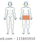 Male hair removal full body illustration 115843910