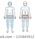 Male hair removal full body illustration 115843912