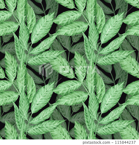 Hand drawn watercolor tropical leaves seamless pattern isolated on black background. Can be used for textile, fabric and other printed products. 115844237