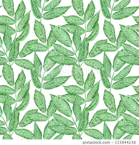 Hand drawn watercolor tropical leaves seamless pattern isolated on white background. Can be used for textile, fabric and other printed products. 115844238
