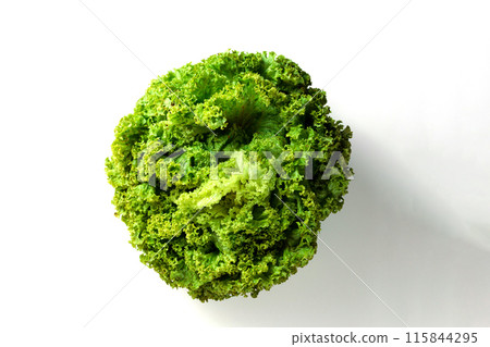 Large green bunch of lettuce leaves on a white background. Insulation 115844295