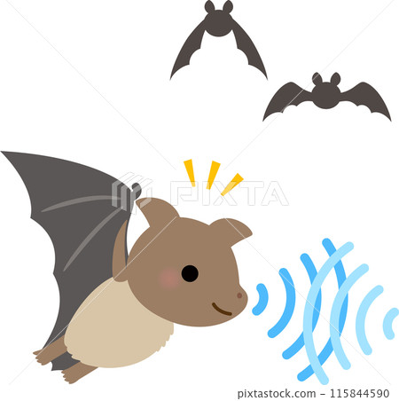 蝙蝠飛行時發出聲波,進行迴聲定位 蝙蝠飛行時發出聲波,進行迴聲定位 115844590