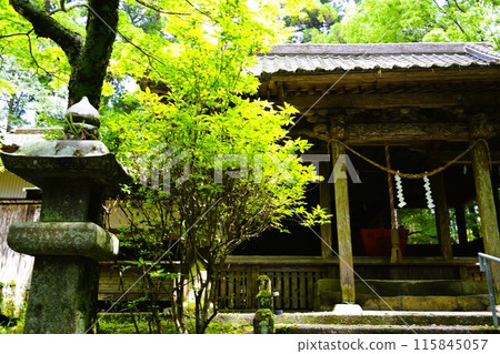 Tadamoto Shrine, Isa City, Kagoshima Prefecture Tadamoto Shrine, Isa City, Kagoshima Prefecture 115845057