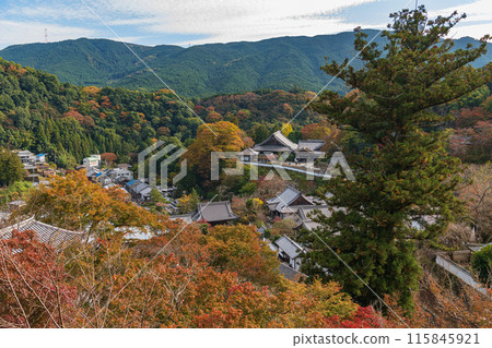 Autumn scenery in the grounds of Hasedera Temple, Nara 115845921