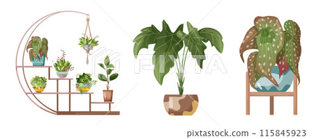 Houseplant and macrame plant growing in pots. Set of handmade home decorations macrame plants isolated on white background. Cartoon flat illustration. Houseplant and macrame plant growing in pots. Set of handmade home decorations macrame plants isolated on white background. Cartoon flat illustration. 115845923