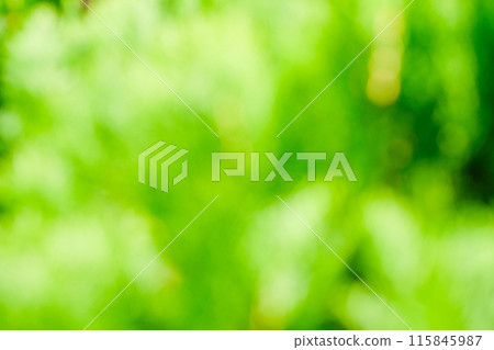 Bright green image (blurred background material) 115845987